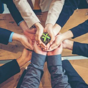 business people team hands together holding a plant, florida business formation